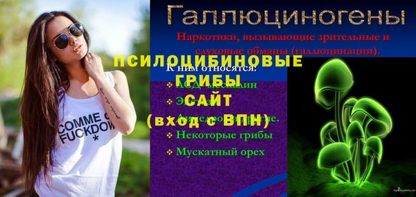 индика Бородино