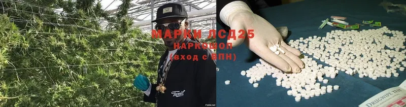 продажа наркотиков  Бородино  Лсд 25 экстази ecstasy 